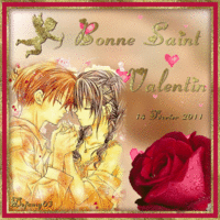 Saint-Valentin 2011 sign