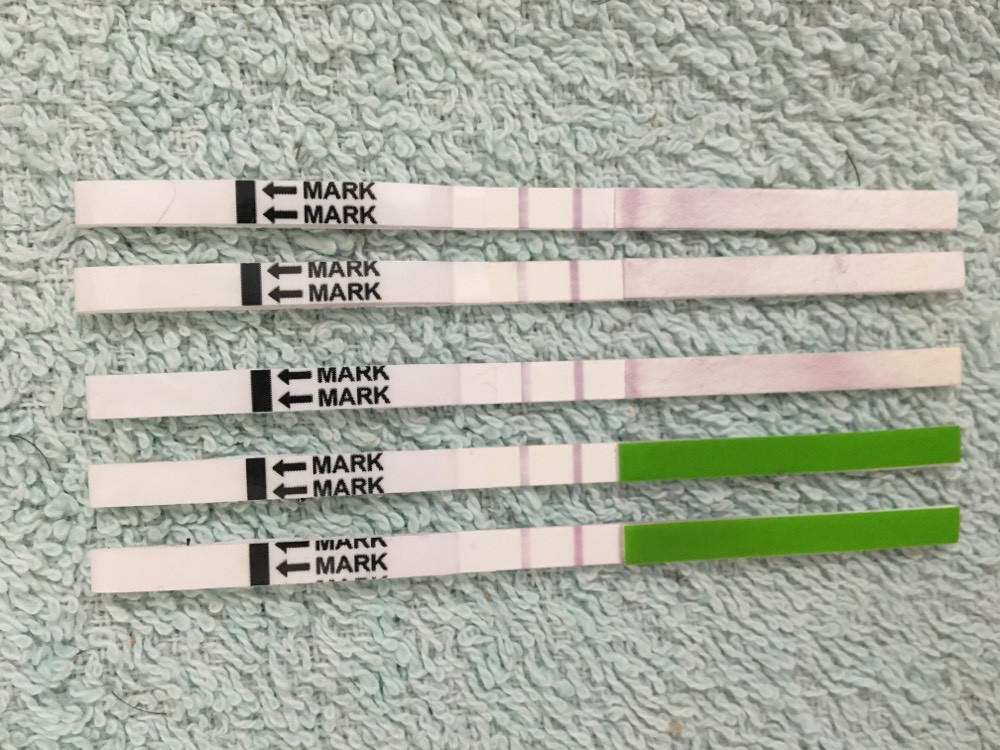 test d'ovulation positif ??? Page 2 Ovulation FORUM Grossesse & bébé