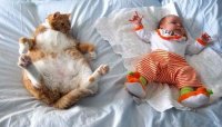 sieste enfant et chat