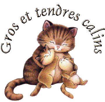 gros_et_tendres_calins_chats043