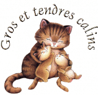 gros_et_tendres_calins_chats043