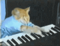 Cat_piano_player