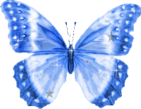papillon1925-papillon-bleu-img