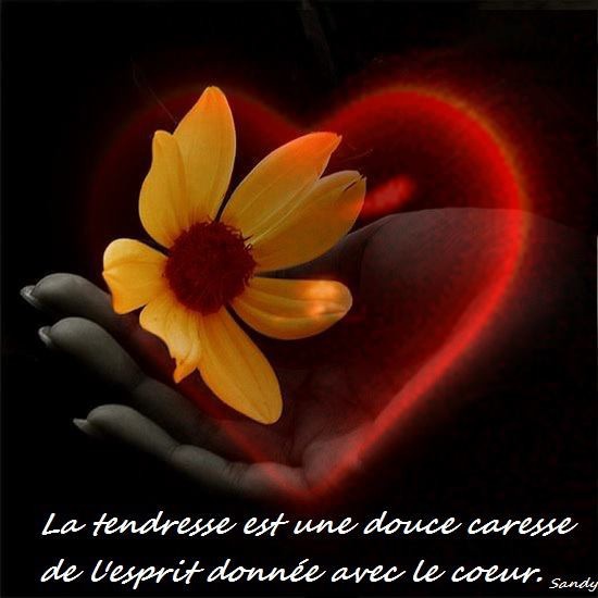 E7cc7d4d Citations Sur La Tendresse Emmanuelle025 Photos Club Doctissimo