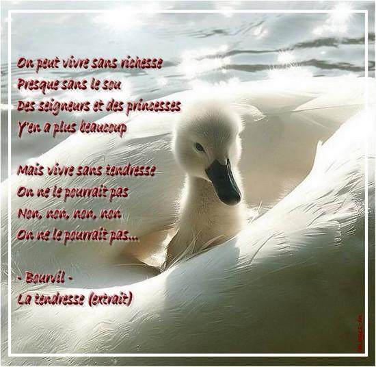 Tendresse Bourvil A Citations Sur La Tendresse Emmanuelle025 Photos Club Doctissimo