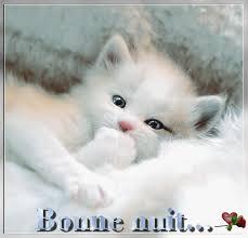Bonne Nuit Chat Douce Nuit Emmanuelle025 Photos Club Doctissimo Bonne Nuit Chat Douce Nuit Emmanuelle025 Photos Club Doctissimo