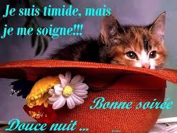 Bonne Soiree Chat Douce Nuit Emmanuelle025 Photos Club Doctissimo Bonne Soiree Chat Douce Nuit Emmanuelle025 Photos Club Doctissimo