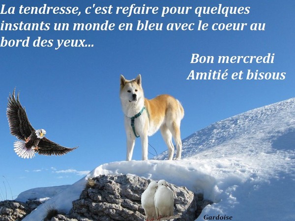 La Tendresse Bleu Citations Sur La Tendresse Emmanuelle025 Photos Club Doctissimo La Tendresse Bleu Citations Sur La Tendresse Emmanuelle025 Photos Club Doctissimo