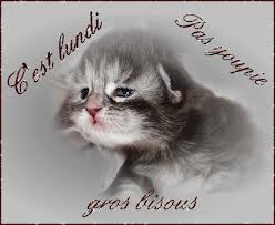 Téléchargement gratuit Images C Est Lundi Humour Pas Youpi Gif Mdrrr Un Coin De Paradis actualisé salutations