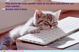 Bonne Soiree Chat Fatigue Animaux Divers Emmanuelle025 Photos Club Doctissimo Bonne Soiree Chat Fatigue Animaux Divers Emmanuelle025 Photos Club Doctissimo