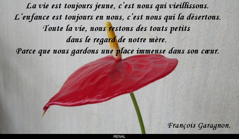 Le Mois De Juillet La Romantique Doctissimo