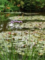2011-06-12--Monet`s Garden, Giverny
