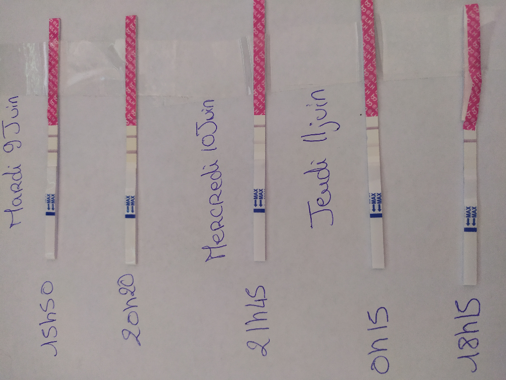 Avis tests d'ovulation / rapport Courbe de température ovulation