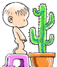 bebe-cactus