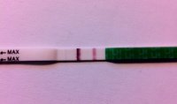 Test ovulation J14 - 03/01/2011
