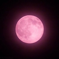lune rose 3