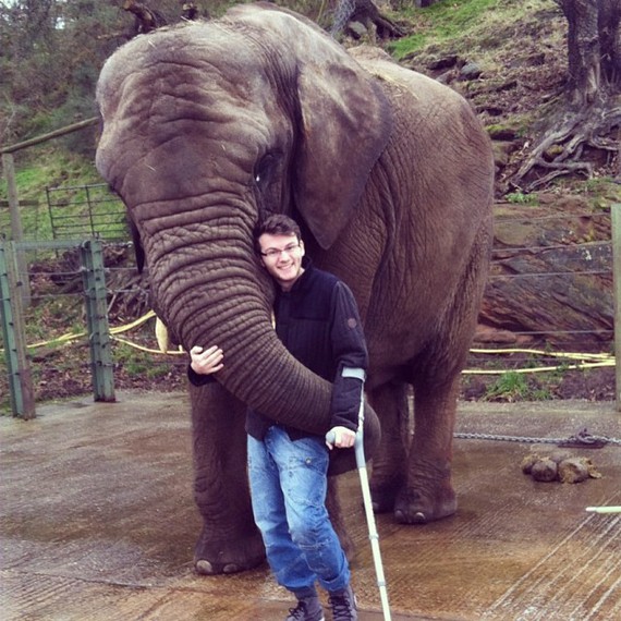 Stephen et l'éléphant