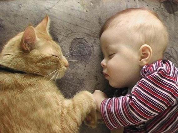 Chat et Bébé