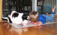 47 photos qui prouvent que les enfants se prennent pour des animauxkids-act-like-animals-eating-cat-