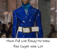 marni-fall-2018-ready-to-wear-red-carpet-wish-list-1