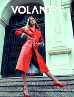 VOLANT+Magazine+cover+by+Dali+Ma