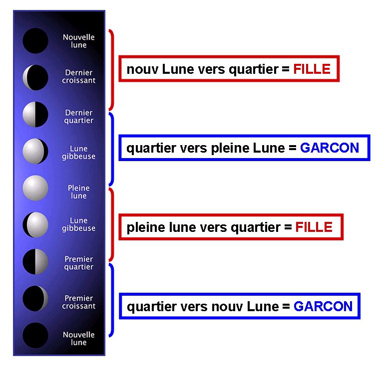 Jeux Prediction Sexe Par La Lune Echographie Connaitre Le Sexe De Votre Bebe Forum Grossesse Amp Bebe Doctissimo Jeux Prediction Sexe Par La Lune Echographie Connaitre Le Sexe De Votre Bebe Forum Grossesse Amp Bebe Doctissimo
