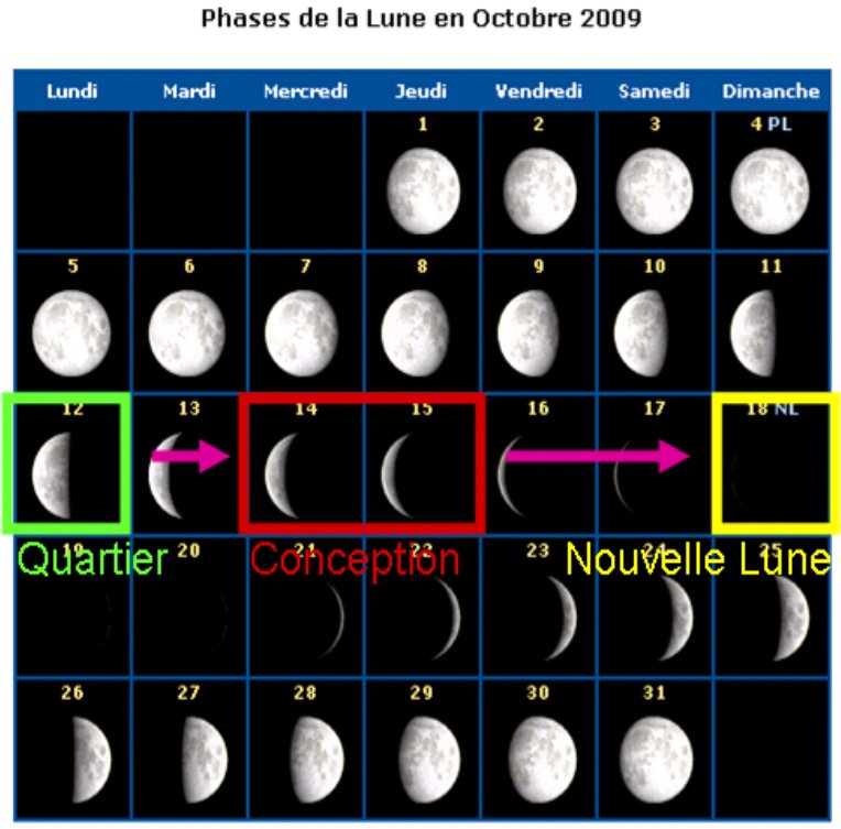 Jeux Prediction Sexe Par La Lune Echographie Connaitre Le Sexe De Votre Bebe Forum Grossesse Amp Bebe Doctissimo