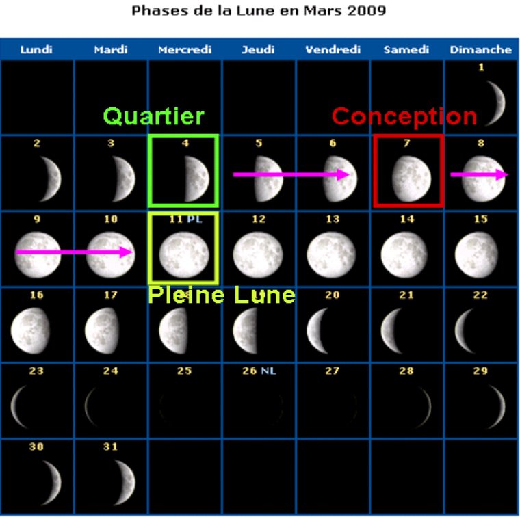 Jeux Prediction Sexe Par La Lune Echographie Connaitre Le Sexe De Votre Bebe Forum Grossesse Amp Bebe Doctissimo Jeux Prediction Sexe Par La Lune Echographie Connaitre Le Sexe De Votre Bebe Forum Grossesse Amp Bebe Doctissimo