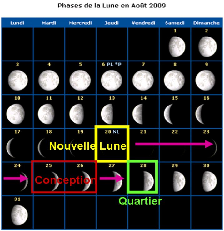 Jeux Prediction Sexe Par La Lune Echographie Connaitre Le Sexe De Votre Bebe Forum Grossesse Amp Bebe Doctissimo Jeux Prediction Sexe Par La Lune Echographie Connaitre Le Sexe De Votre Bebe Forum Grossesse Amp Bebe Doctissimo