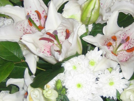 bouquet-de-fleurs-blanches