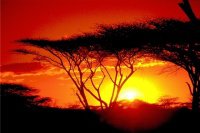 coucher-soleil-kenya