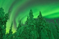 phenomene-aurores-boreales