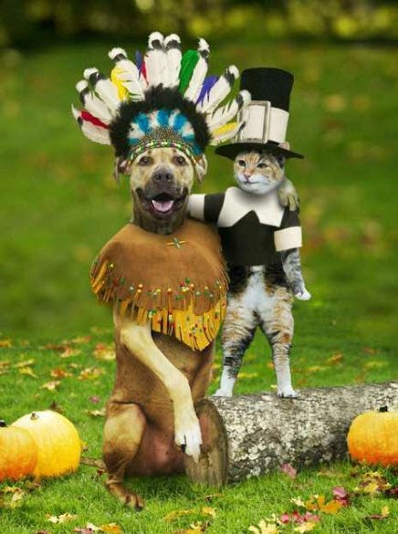 Deguisement D Halloween Pour Chat Et Chien Deguizzz Dog Zizirator05 Photos Club Doctissimo Deguisement D Halloween Pour Chat Et Chien Deguizzz Dog Zizirator05 Photos Club Doctissimo