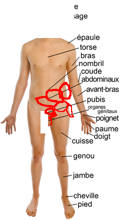 Mal Au Cote Gauche Testicule Gauche Mal Au Cote Gauche Testicule Gauche