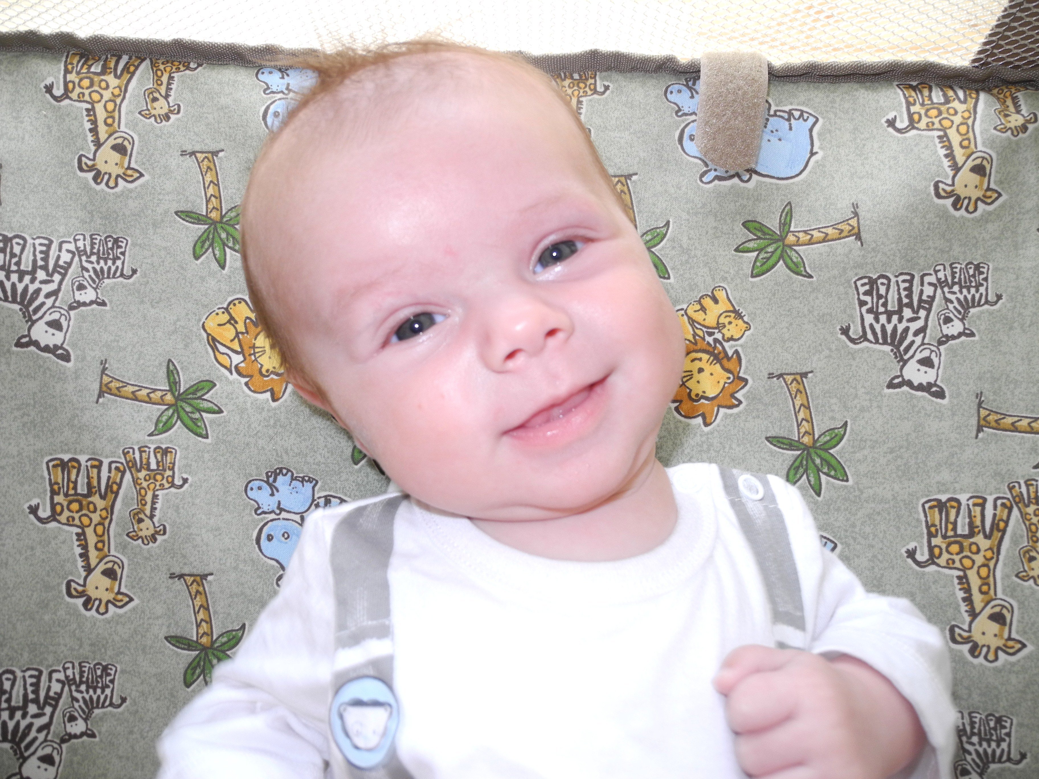 Torticolis Congenital Mamans Et Futures Mamans Du Quebec Forum Grossesse Amp Bebe Doctissimo Torticolis Congenital Mamans Et Futures Mamans Du Quebec Forum Grossesse Amp Bebe Doctissimo