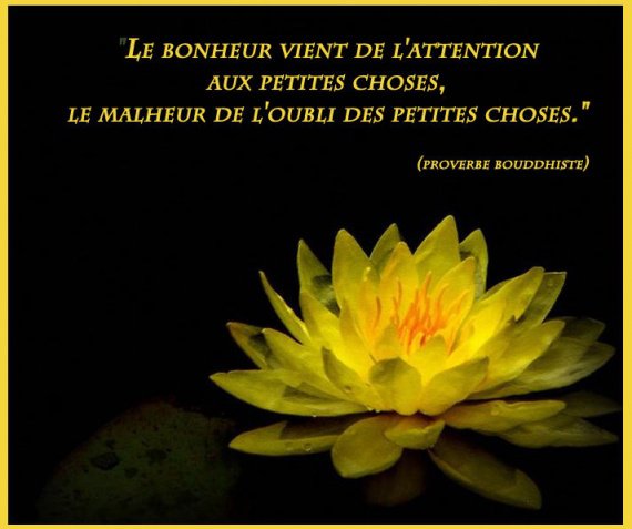 Un Coin De Paradis