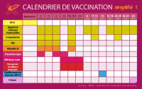 calendrier_vaccination2012