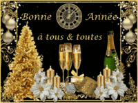 BonnesImages-bonne-annee_021 (4)