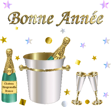 BonnesImages-bonne-annee_007 (3)