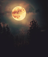 beautiful-good-moon-night-Favim-com-2834868
