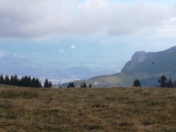 Grenoble et vallée depuis la Molière