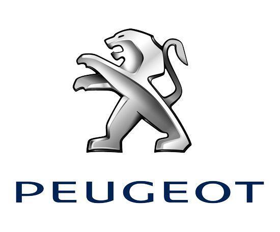 peugeot-patagon_006