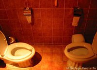 toilettes (15)