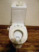toilettes (47)