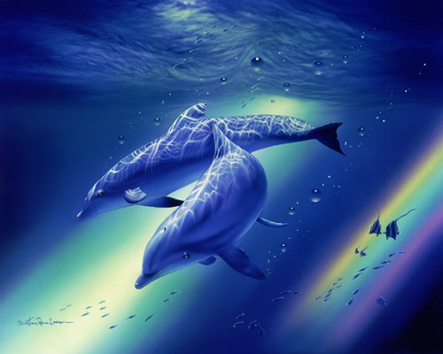 dauphins (15)