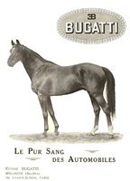 bugatti1 (50)