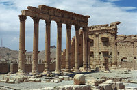 Palmyre (12)