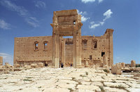 Palmyre (11)
