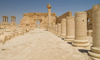 Palmyre (14)