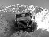 jeep (66)
